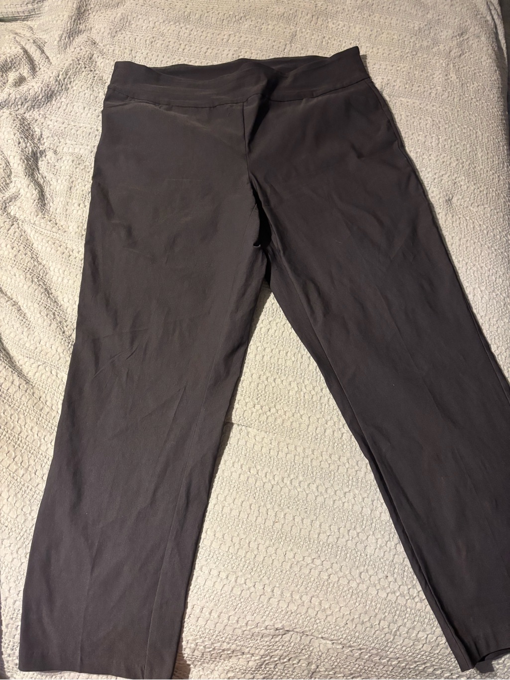 Women's Grey Stretch Pull-On Pants Nwot
